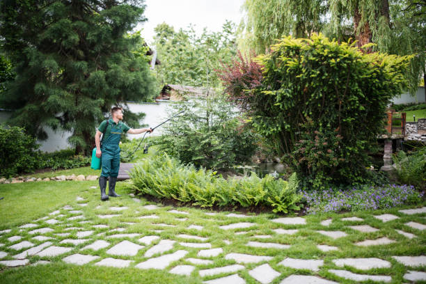 Best Affordable Pest Control Services  in New Stanton, PA