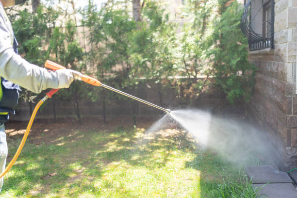 Trusted New Stanton, PA Pest Control Experts