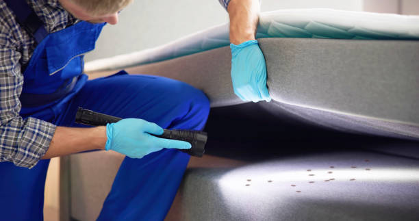 Best Exterminator Services  in New Stanton, PA