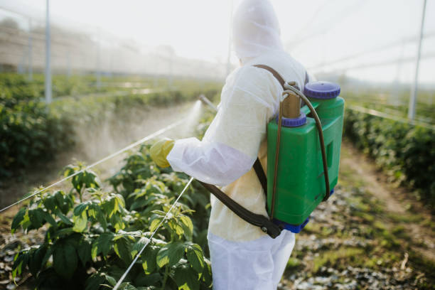 Best Wasp Removal Services  in New Stanton, PA